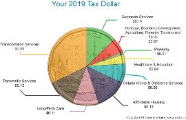 Loonie 2019 270