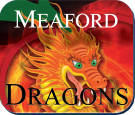 Thinking of Starting or Expanding Your Business?  Test Your Idea With the Meaford Dragons