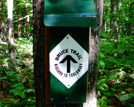 bruce trail sign 270