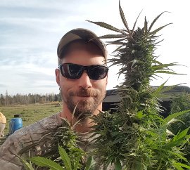 cannabis grow svc270