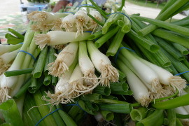 meaford farmers mkt open 2018 006 270