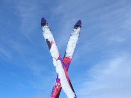 pair of skis Daniel Nedelcu270