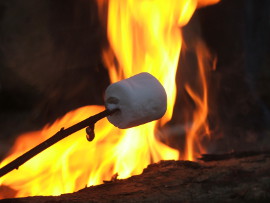 roasting marshmallows270