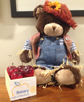 rotaryteddy2270