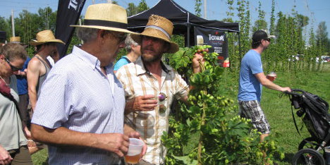 Hop Harvest Shindig Continues to Grow