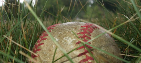 baseball in grass chad green468