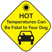 dogs hot cars224