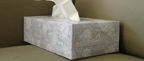 tissue David Lat