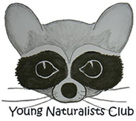 young naturalists270