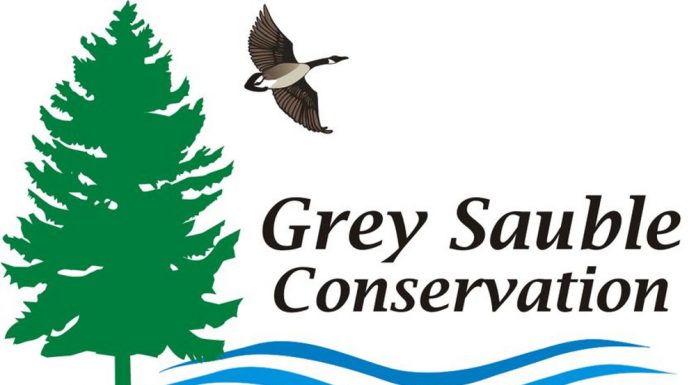 Grey Sauble Conservation Responds to Province’s Proposed Consolidation of Conservation Authorities