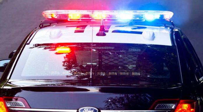 OPP Investigating Fatal Single-Vehicle Collision