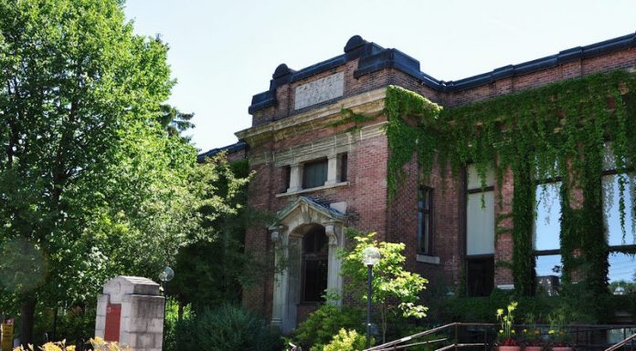 Local Author Book Fair at the Owen Sound & North Grey Union Public Library