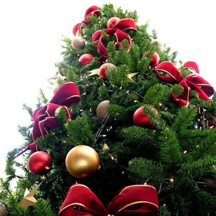 Christmas Tree Disposal Ideas The Meaford Independent