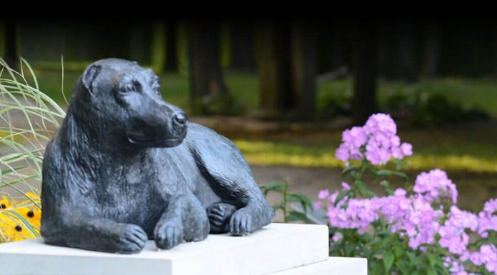 Beautiful Joe Heritage Society Closer to Dream of Making Beautiful Joe Park Accessible