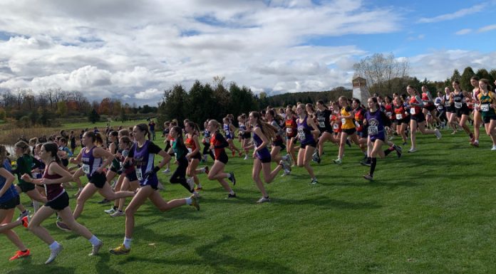 GBCS Runners Compete at CWOSSA Cross Country Championships