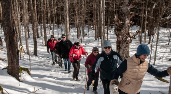 Snowshoe Hike on Trout Hollow East