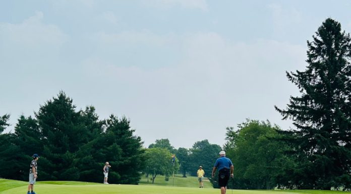 The 3-Minute Financial Fix: Don’t Miss the Easy Birdie – A Lesson in Opportunity