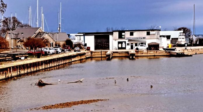 Municipality to Begin Dredging of Harbour