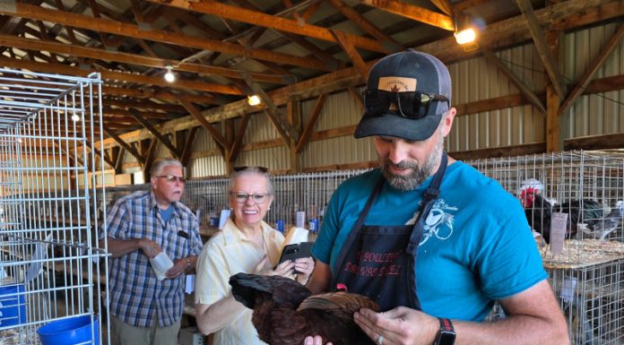 169th Meaford & St. Vincent Fall Fair Shows Off Community’s Agricultural Heritage