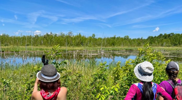 Together on the Trail for Bruce Trail Day