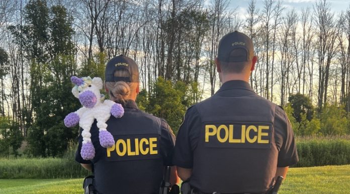 Grey Bruce OPP Launches Comfort Companions Program To Support Children In Crisis