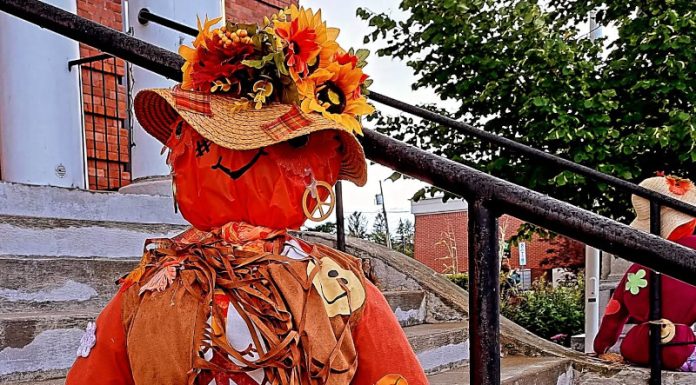 Celebrate 30 Years of Scarecrow Magic