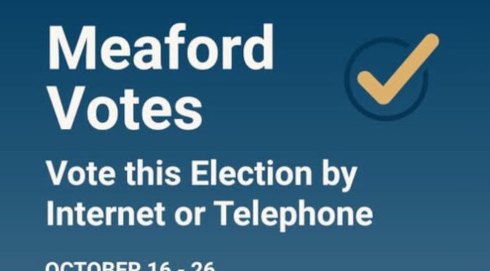 Municipal Election Voting Period Open