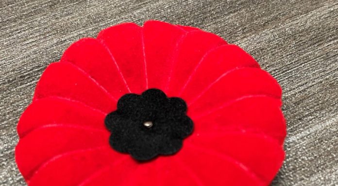 Meaford’s Poppy Campaign: Remembering the Fallen, Supporting Those Who Served