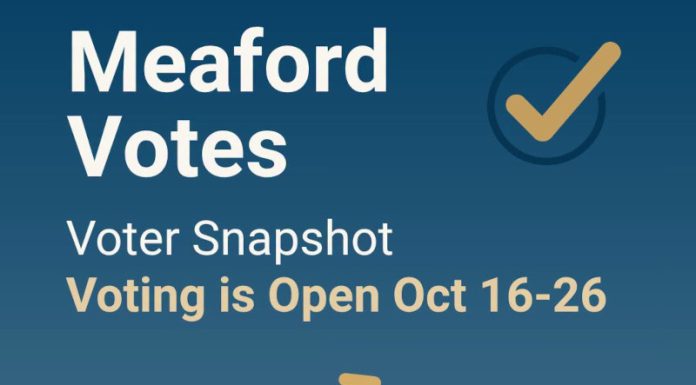 15.6% of Meaford’s Eligible Voters Have Cast Ballots in First Five Days of Voting Period